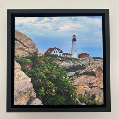 Head Light Rocks Canvas Print by David Sullivan
