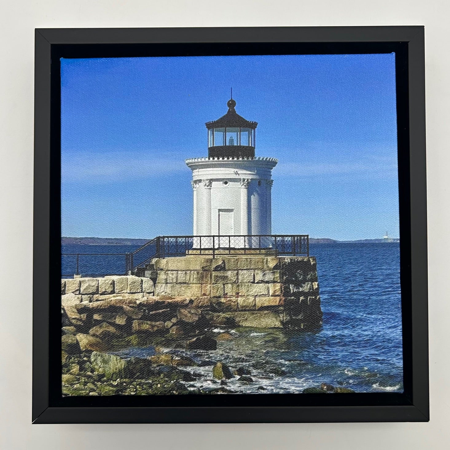 Bug Light Canvas Print
