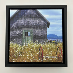 Cranberry Island Canvas Print by David Sullivan