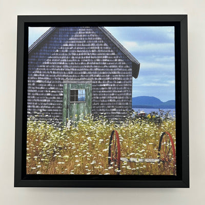 Cranberry Island Canvas Print by David Sullivan