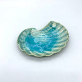 Crescent Shell