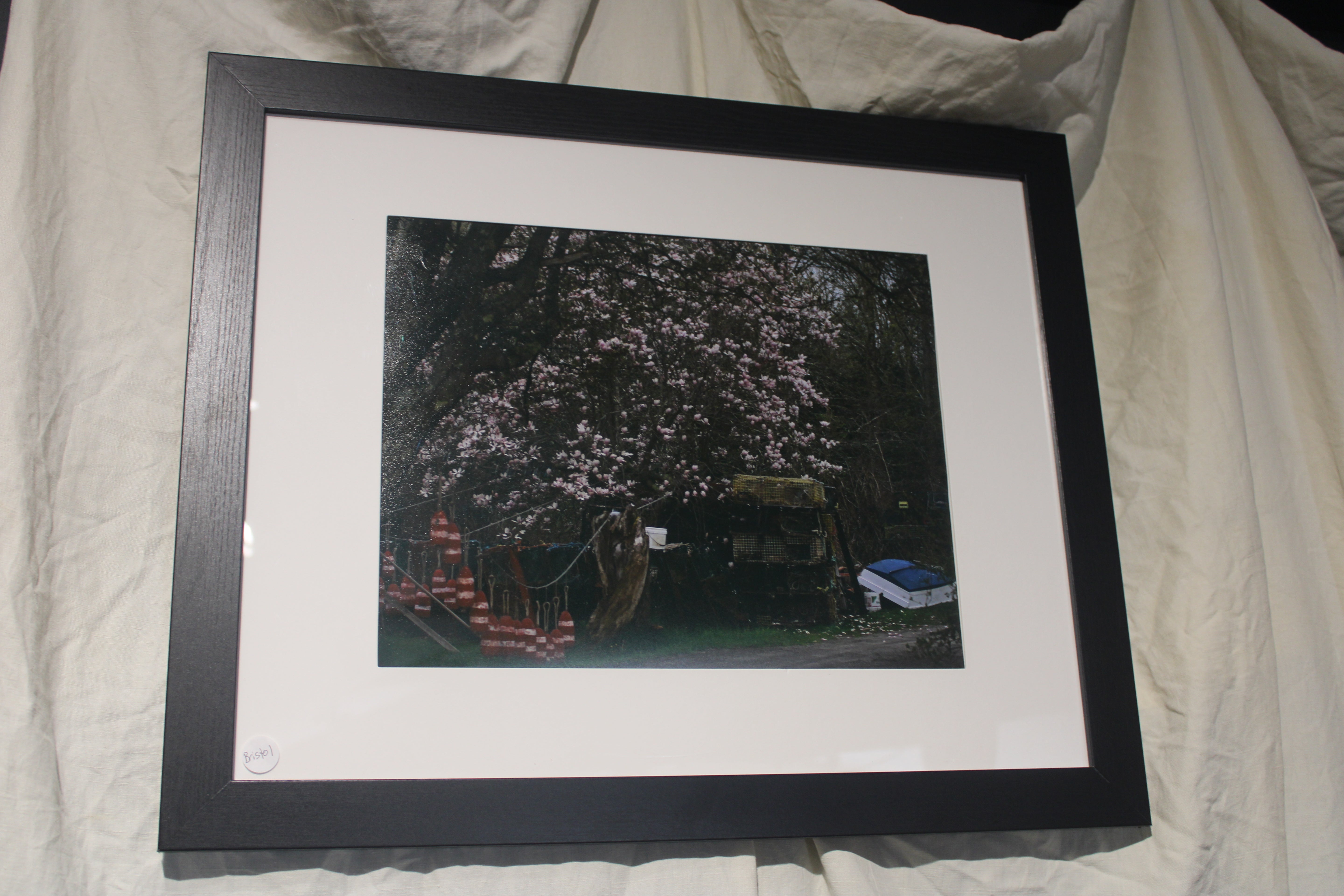 Magnolias, Buoys, and Boat