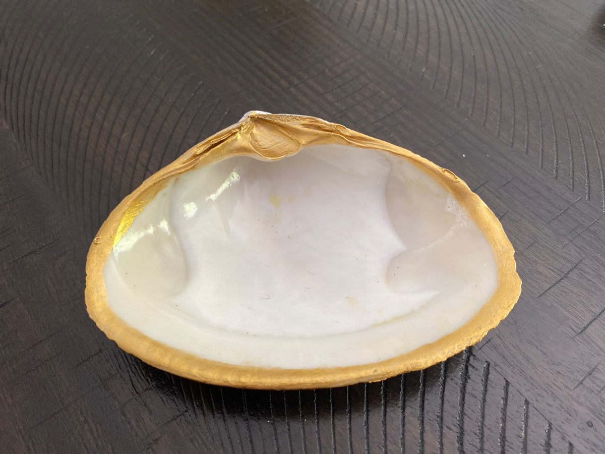 Clamshell Jewelry-Ring Dish 4 AC by Debbie Arnold