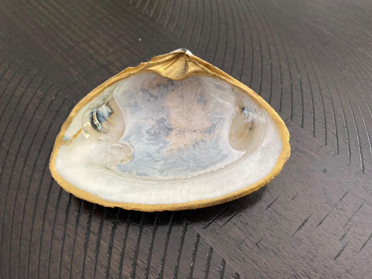 Clamshell Jewelry/Ring Dish 3 AC by Debbie Arnold