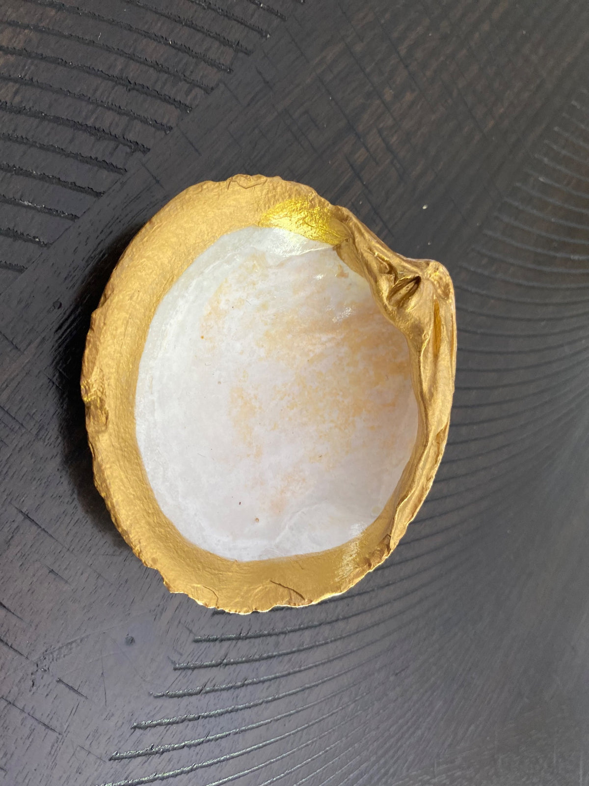 Clamshell Jewelry/Ring Dish-Small 4 AC by Debbie Arnold