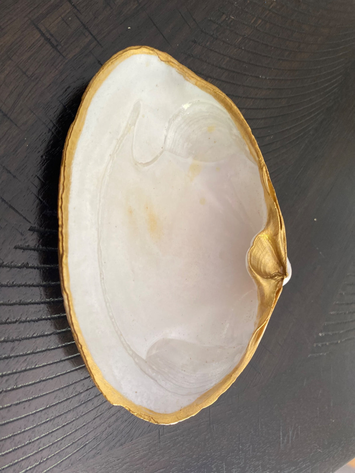 Clamshell Jewelry/Ring Dish 7 AC by Debbie Arnold