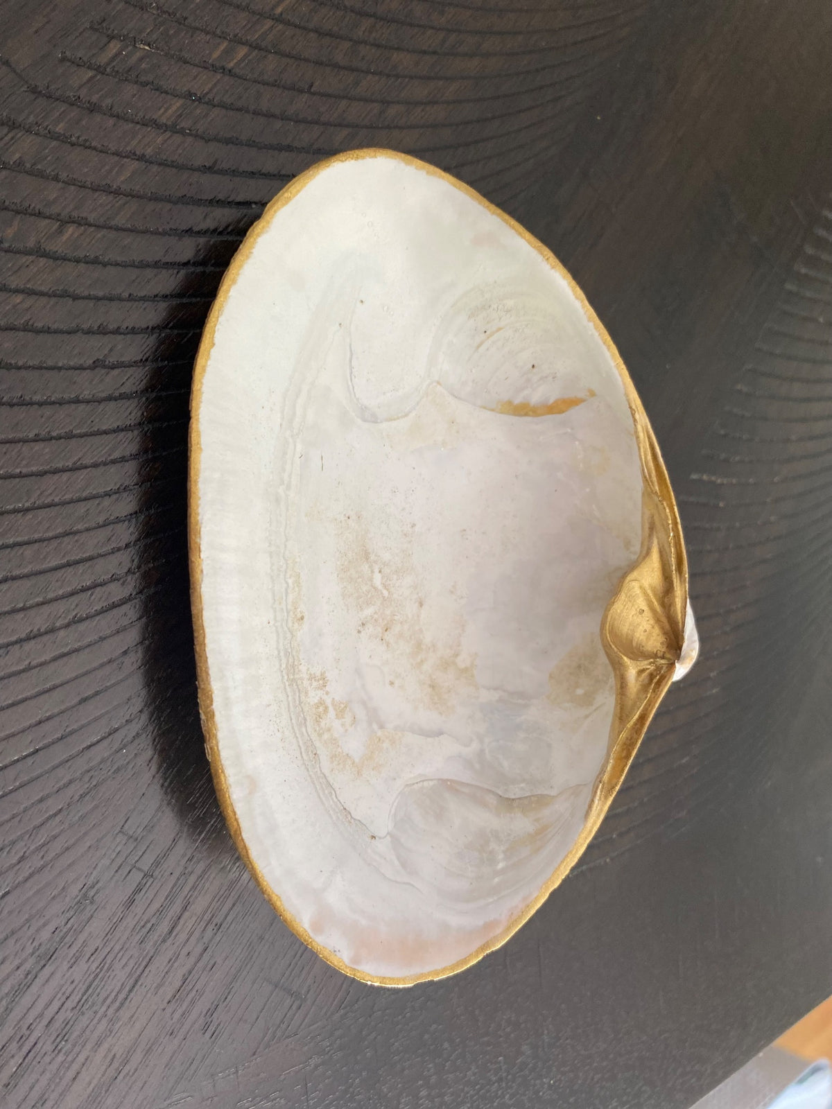 Clamshell Jewelry/Ring Dish 1 AC by Debbie Arnold