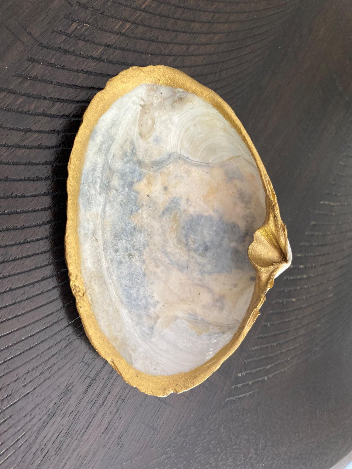 Clamshell Jewelry/Ring Dish 6 AC by Debbie Arnold