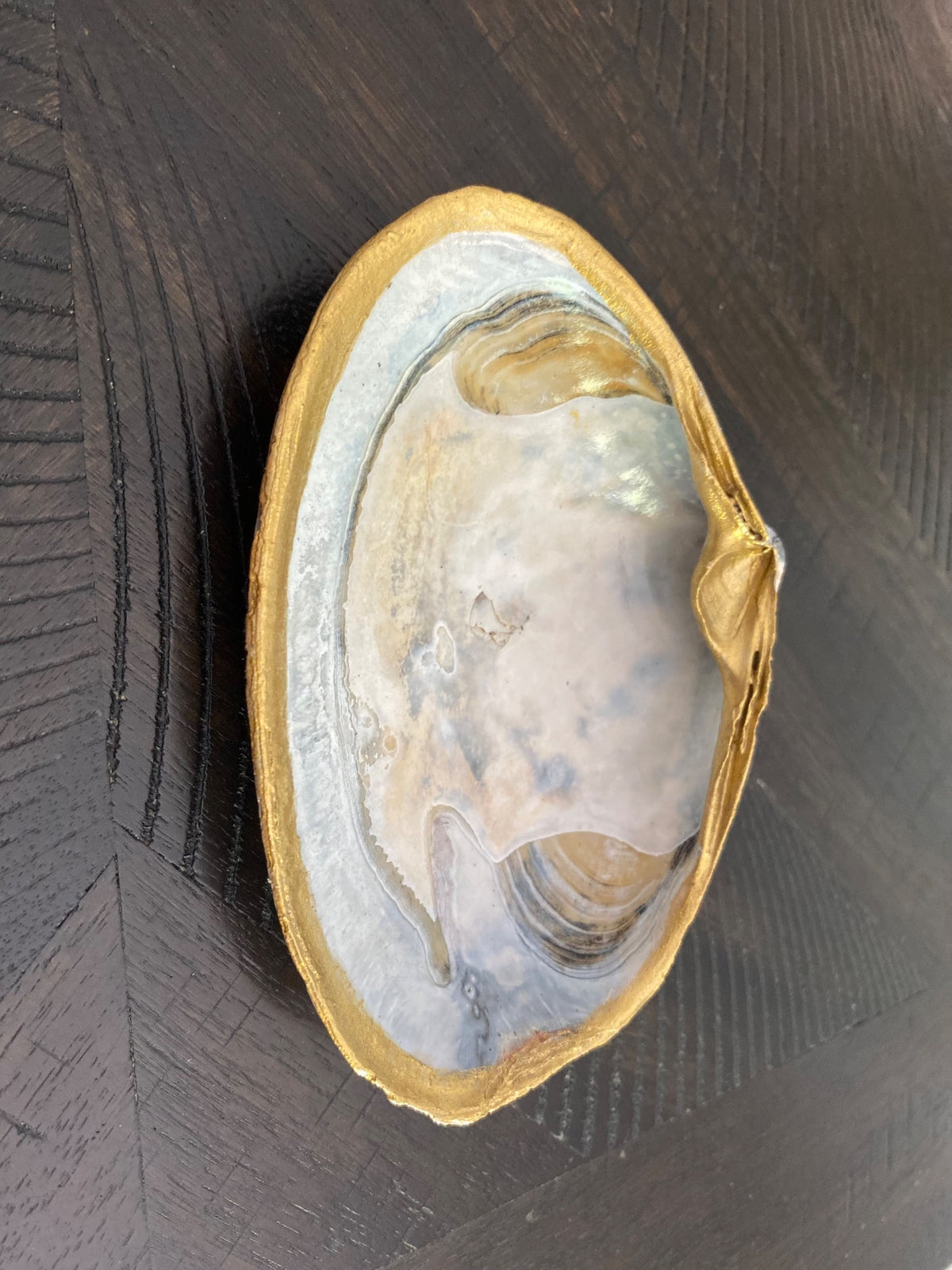 Clamshell Jewelry/Ring Dish 5 AC by Debbie Arnold
