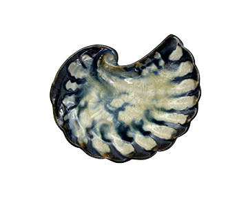 Crescent Shell