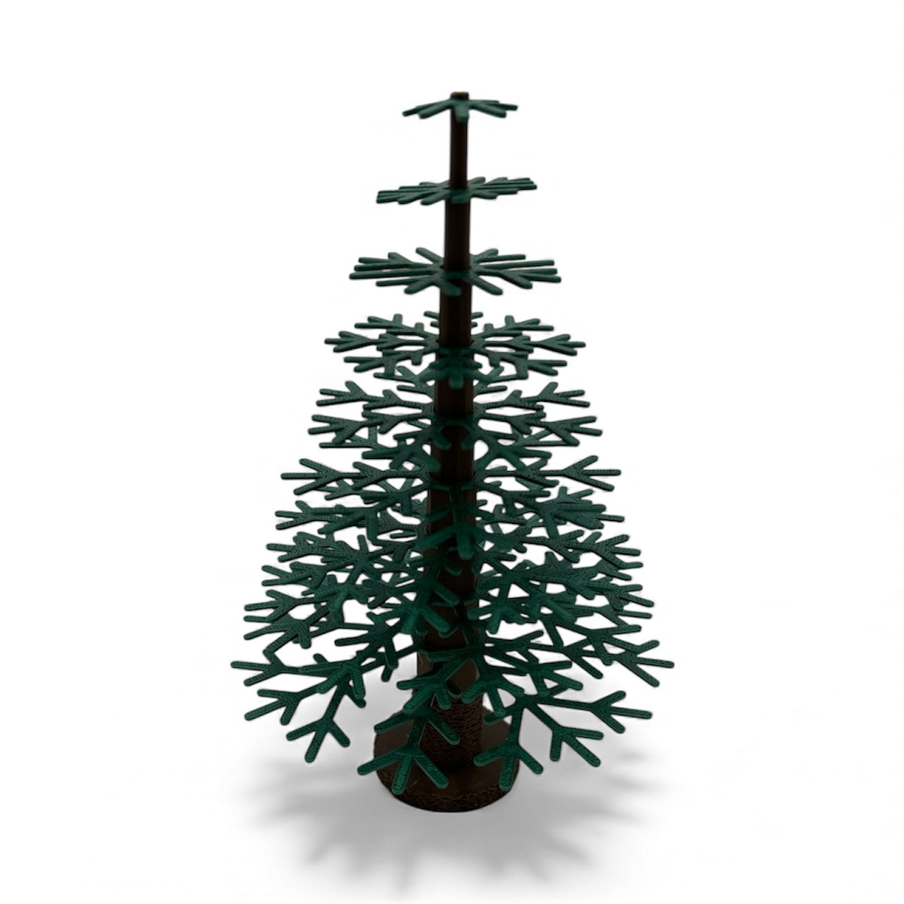 Pine Tree by This Rad Life