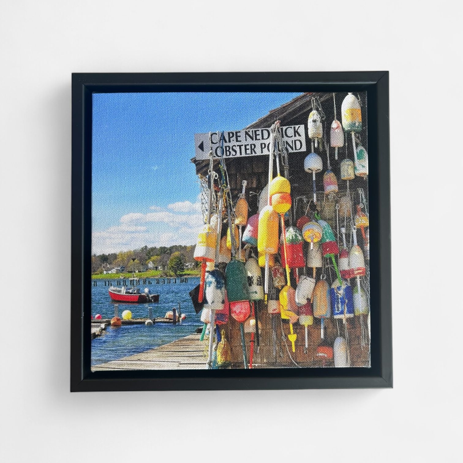 Cape Nedrick Canvas Print by David Sullivan