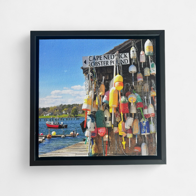 Cape Nedrick Canvas Print by David Sullivan