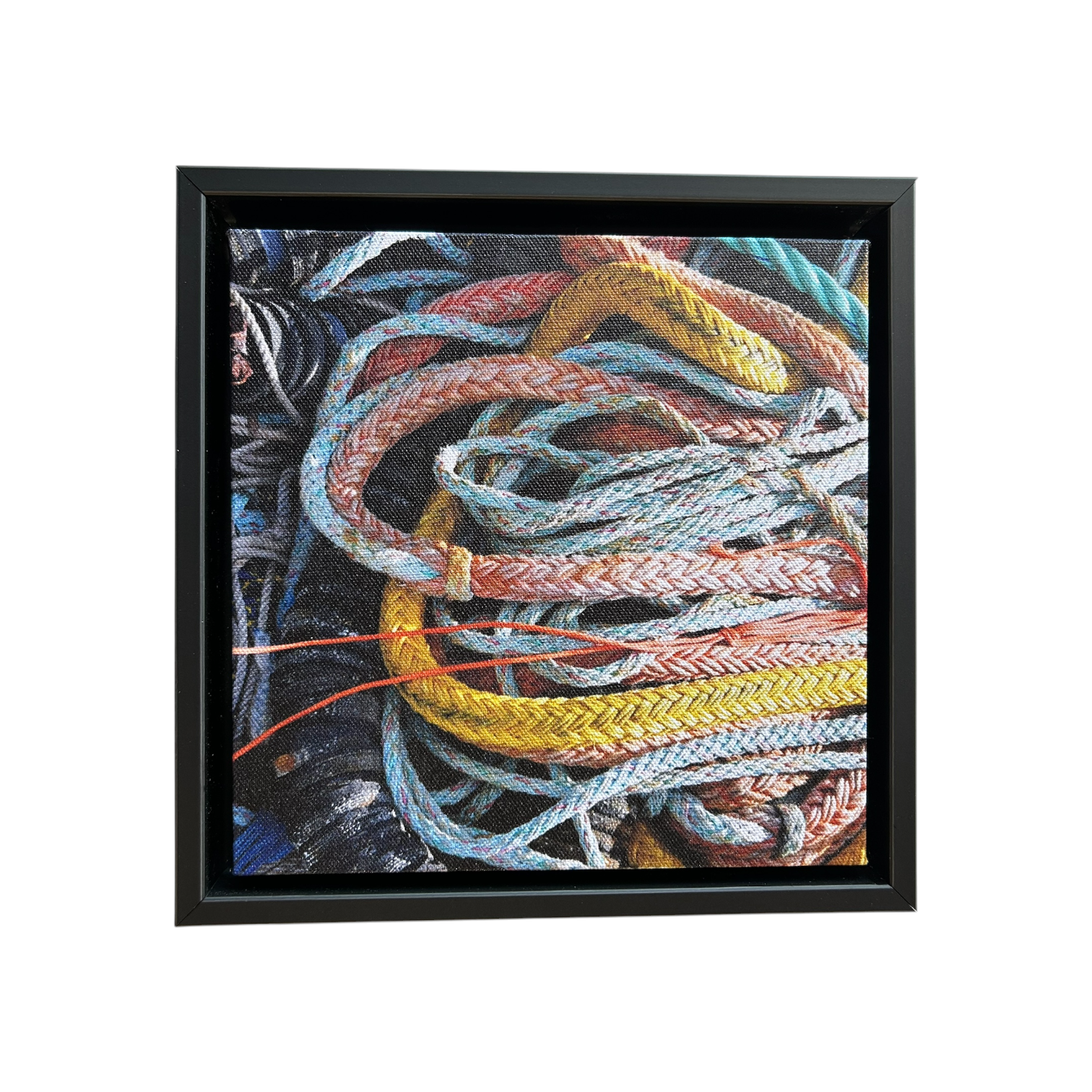 Rope Canvas Print