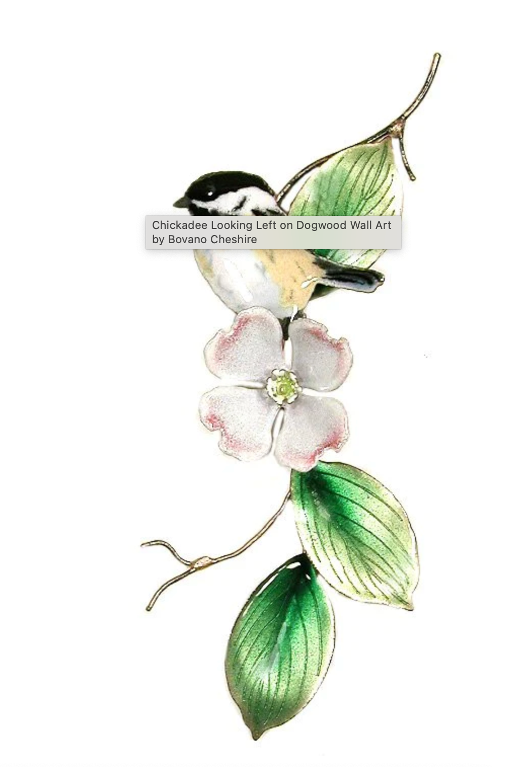 Chickadee on Dogwood