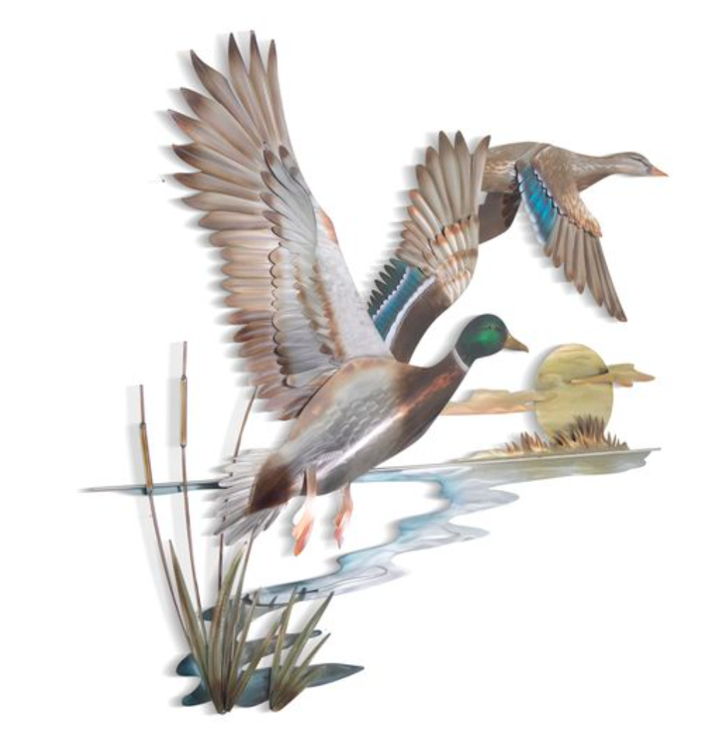 Mallard Duck Marsh