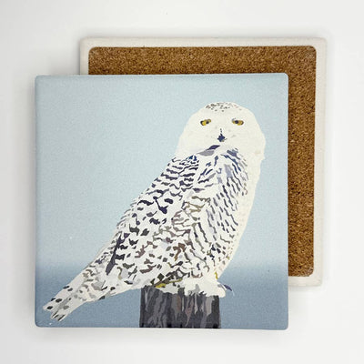 Snowy Owl Absorbent Coaster