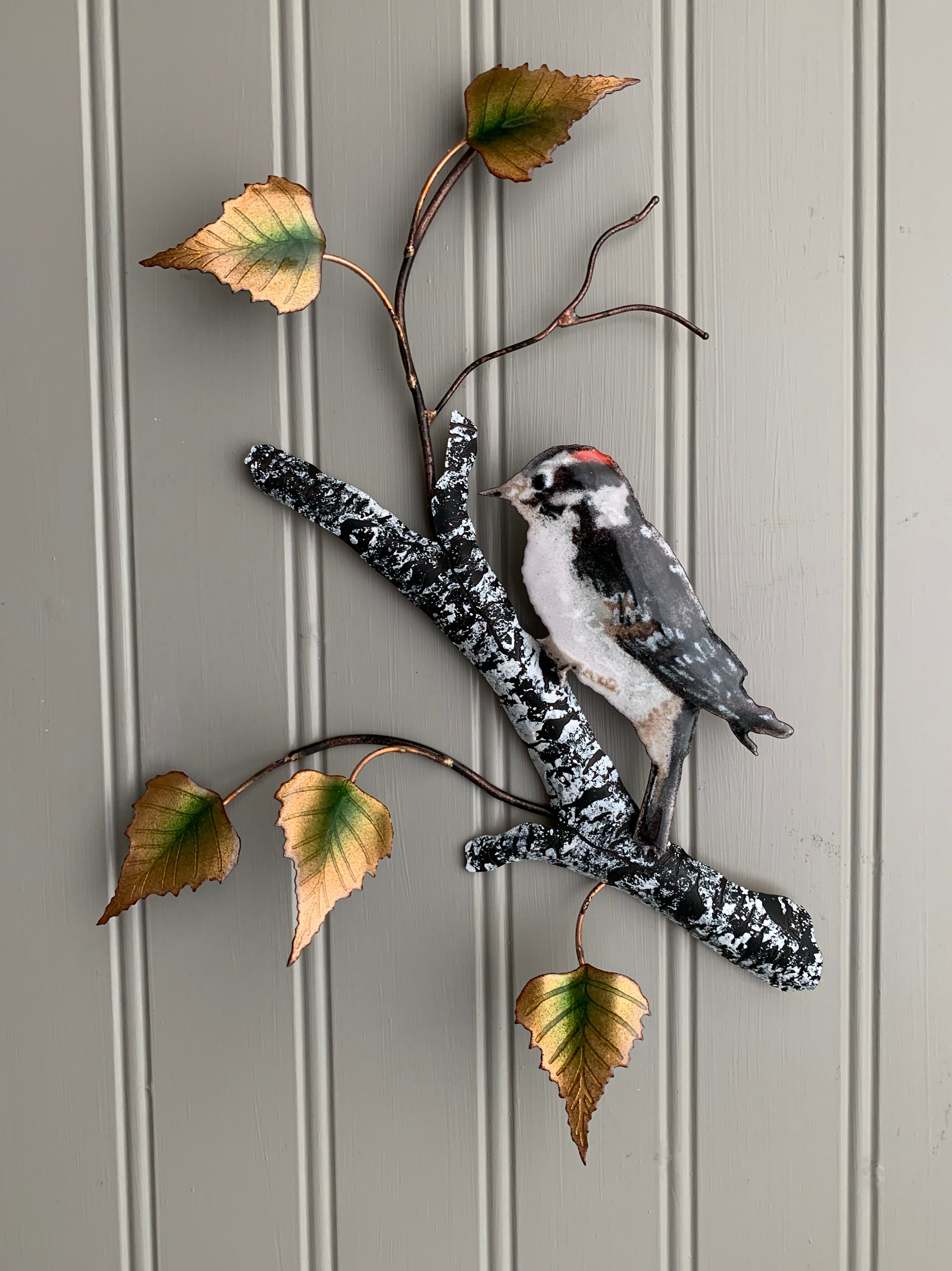 Downy Woodpecker on Birch