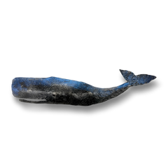 Medium Whale by Stephen Lichtenstein