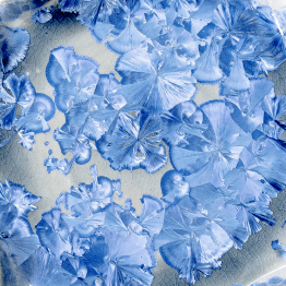 Cake Plate - Pottery Edgecomb Potters