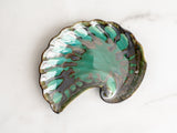 Crescent Shell - Pottery Edgecomb Potters